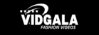 VIDGALA logo
